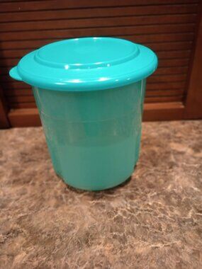 Tupperware pickle keeper and fork